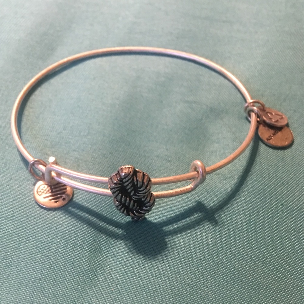 Alex & Ani Bracelet